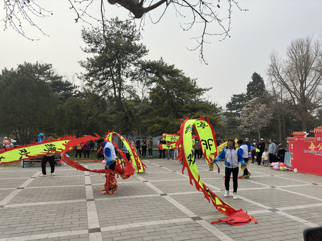 暖春初陽照，花明色欲紅