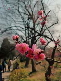 給點陽光就燦爛