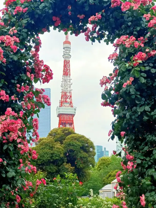 Shiba Park Tokyo 🇯🇵