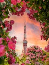 Flowery Tokyo Shiba Park Japan 😍♥️🇯🇵
