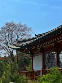 週末雲遊：京畿道始興青花空間