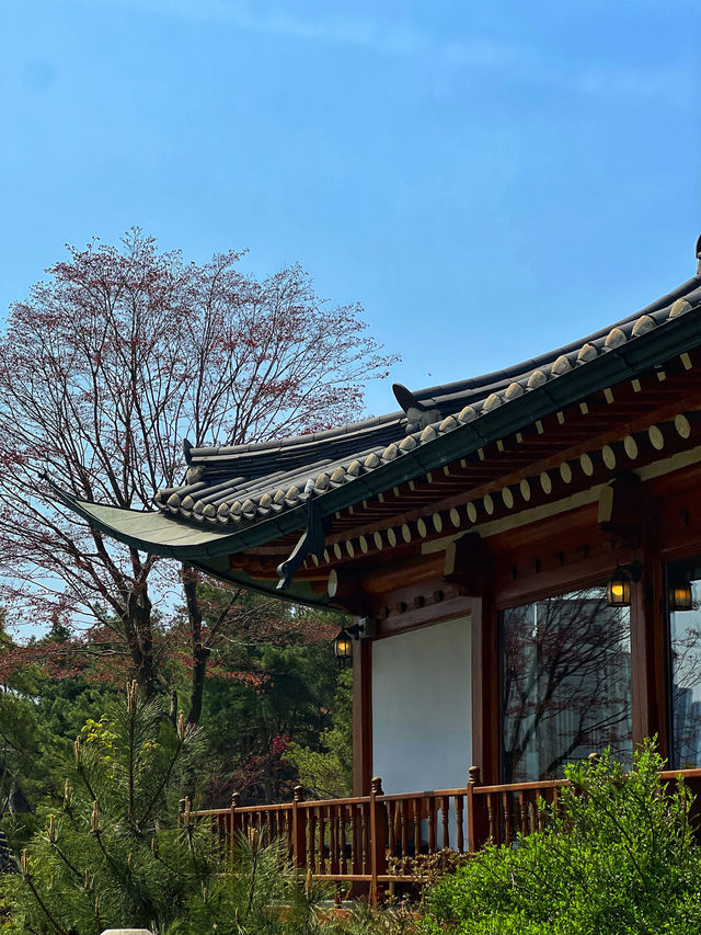 週末雲遊：京畿道始興青花空間