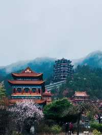 原來天水有這麼多好玩的地方有空來打卡