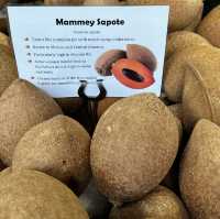 Tropical fruits you have never seen 
