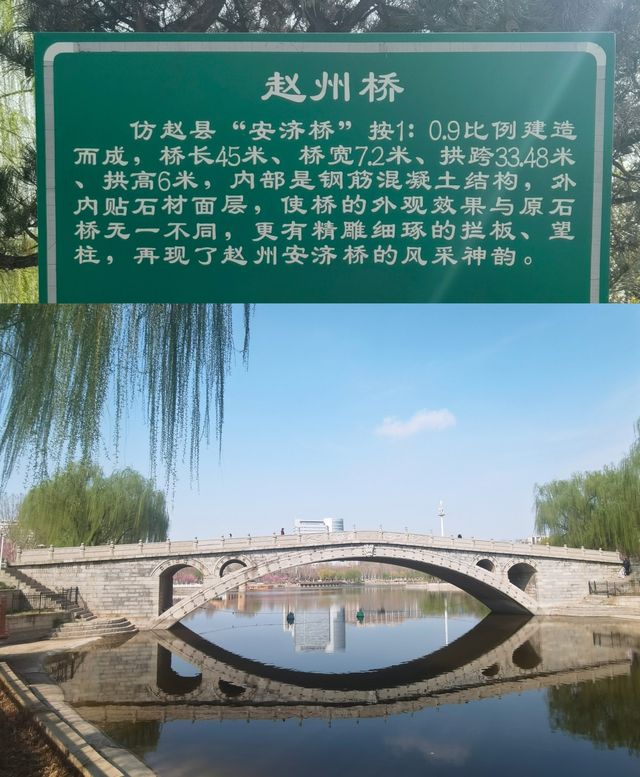 春天的美景荡漾在石家庄水上公園