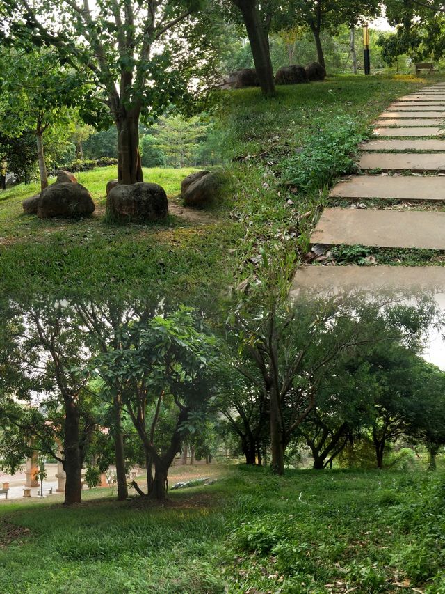 徐聞人民公園最全攻略 徐聞人民公園最全攻略