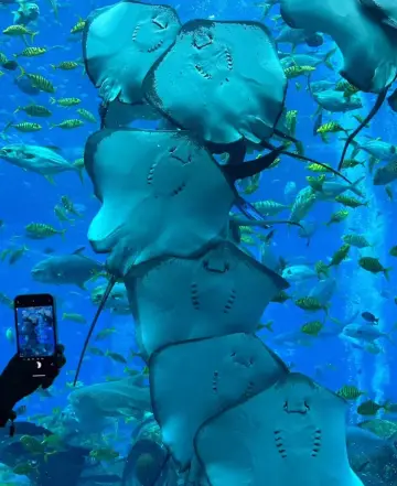 哈爾濱波塞冬一日遊