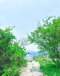 原以為麥理浩徑已經夠美了，直到去了東平洲…