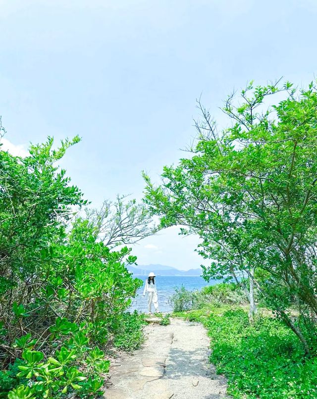 原以為麥理浩徑已經夠美了，直到去了東平洲…