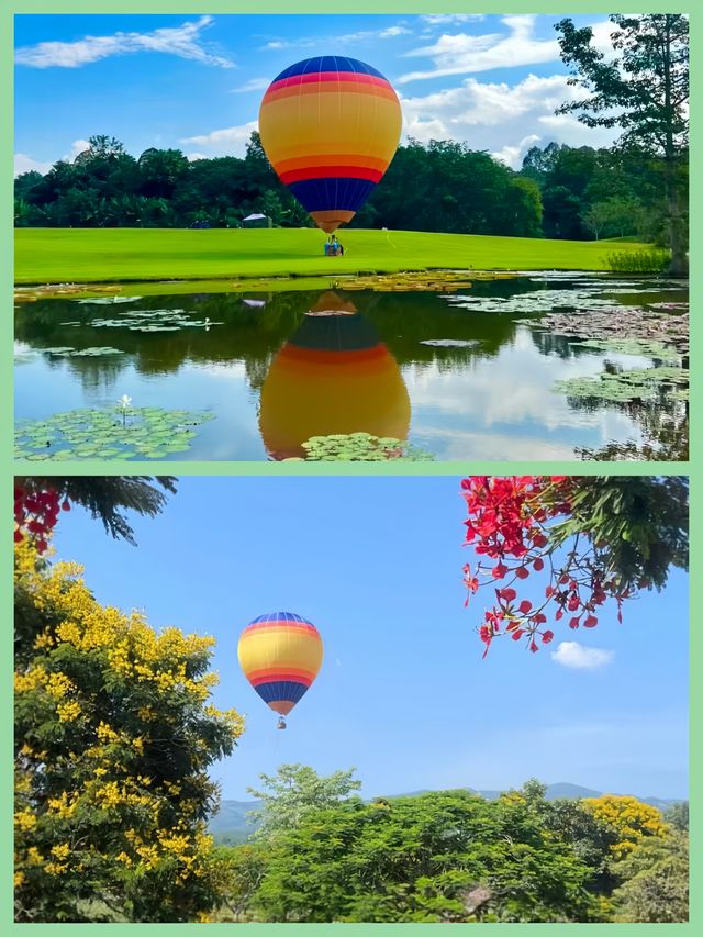 西雙版納必去打卡地，怎能少了Ta