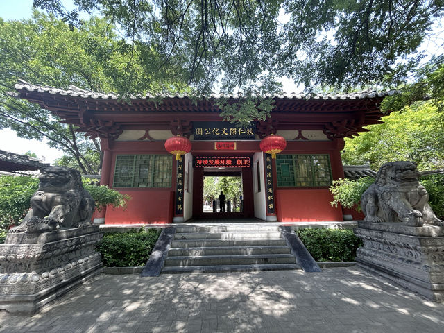 慕訪狄公故居，狄母手植千年古槐仍枝繁葉茂