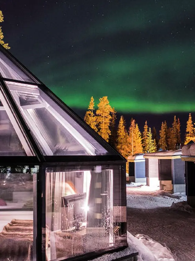 🌌 Rovaniemi's Arctic Adventure & Cozy Stays 🎅✨