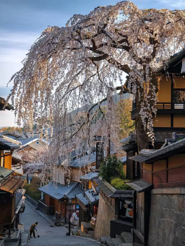 Cherry blossoms and ancient architecture, a breathtaking beauty not to be missed—Japan!