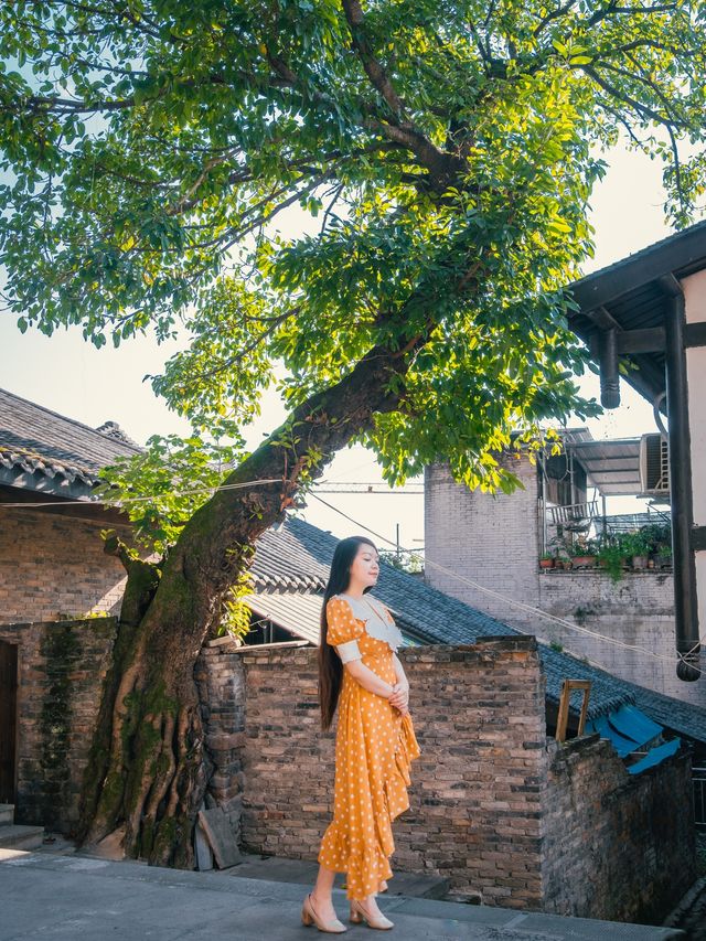 端午好去處：自駕重慶西沱古鎮