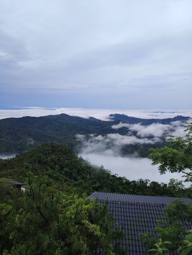 邂逅自然,尽享山居之美 邂逅自然,尽享山居之美