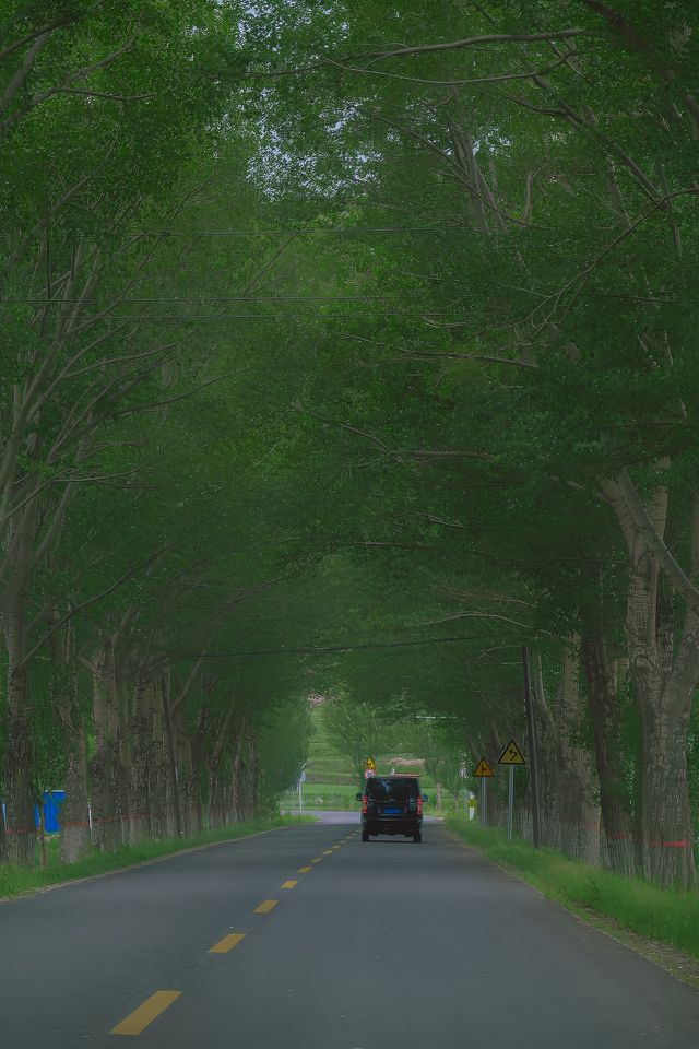 總要去趟草原天路吧，去吹吹夏天的風