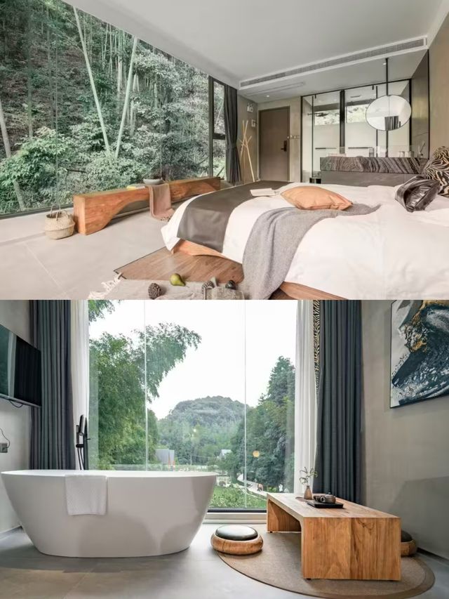 看山·聽風·賞雨南昆山森林秘境