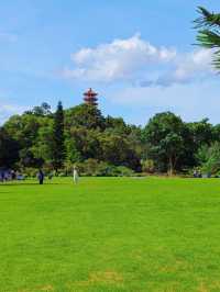 仙湖植物園，我原稱之為深圳小絕境