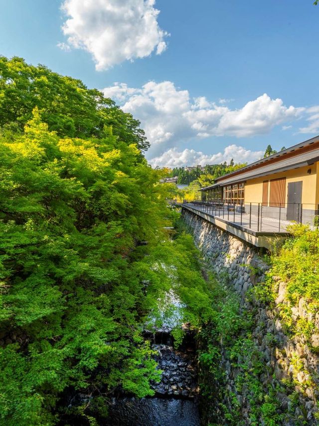 🌸 Kyoto's Luxurious Hideaway: ROKU KYOTO's Serene Retreat 🏞️