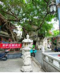 在深圳，隐藏着一个宝藏级古村落|沙井古墟