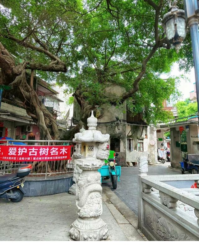 在深圳，隐藏着一个宝藏级古村落|沙井古墟