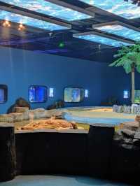 Chongqing's Top Family-Friendly Escapes! 🎢🐼🌊