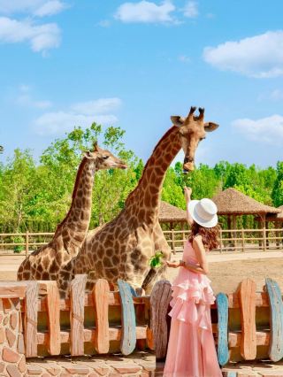 Not Disney! It's Shandong! The dreamy castle that's blowing up on WeChat Moments!