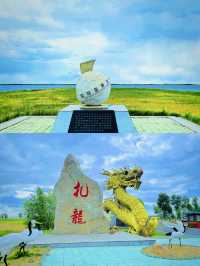 扎龍生態旅遊區‖丹頂鶴棲息濕地