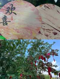 第一次來淄博，還不知道齊盛湖的抓緊看過來
