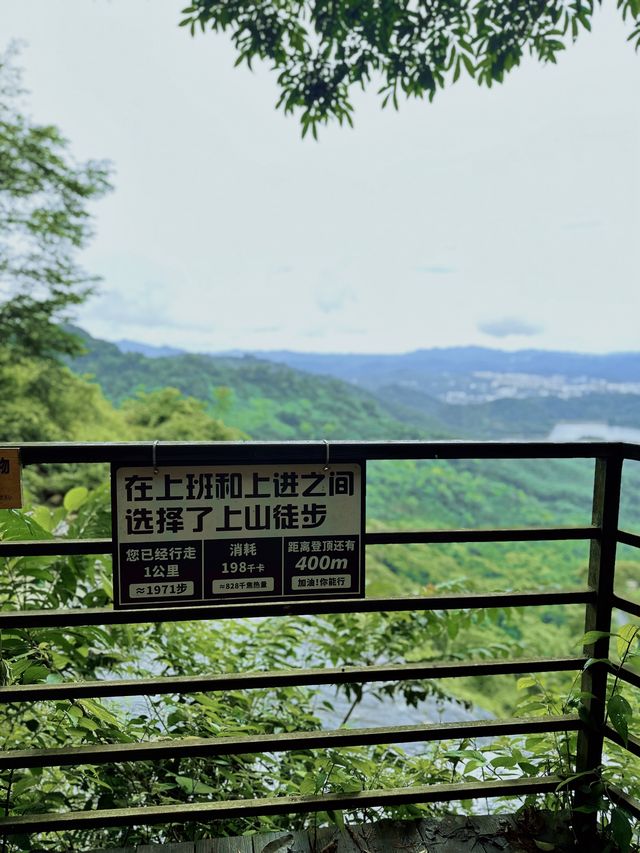 瓊中百花嶺爬山好去處
