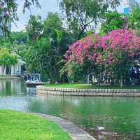 廈門市內好去處|在南湖公園遛彎
