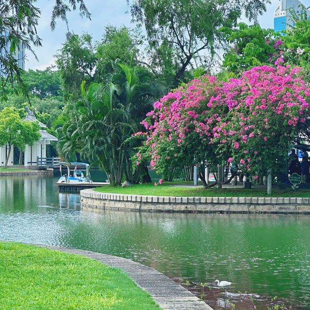 廈門市內好去處|在南湖公園遛彎