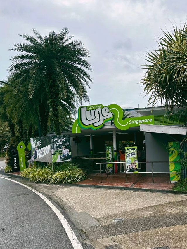 新加坡必玩天際線斜坡滑車最新攻略看這篇
