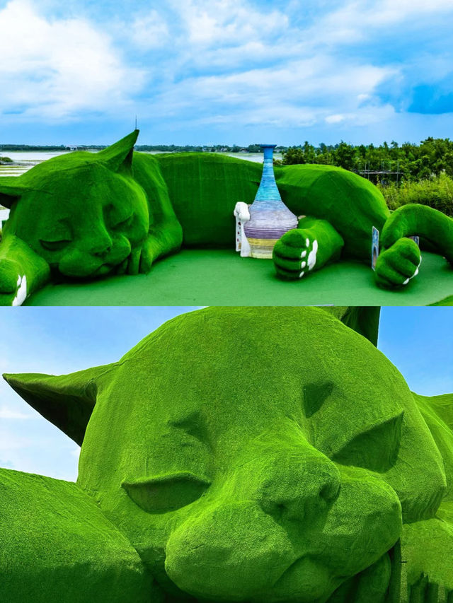 淮安|童話世界裡的肥貓島太治癒了！！