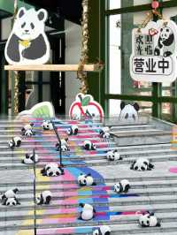 不是?!深圳你真的……