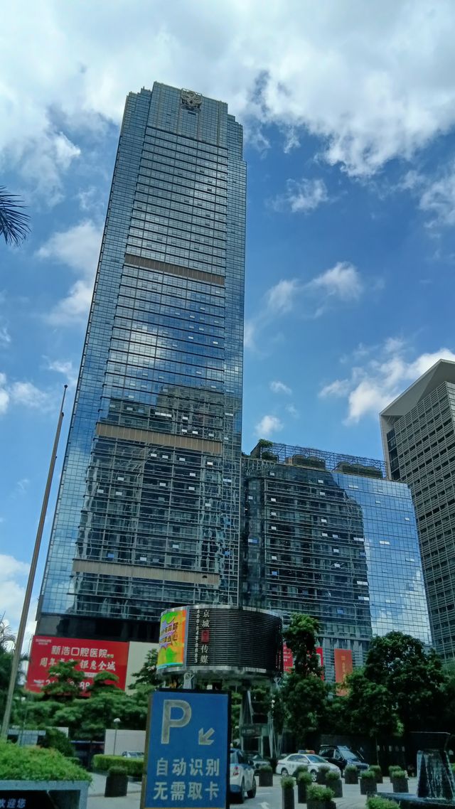 深圳向日葵公園·青綠&清幽。