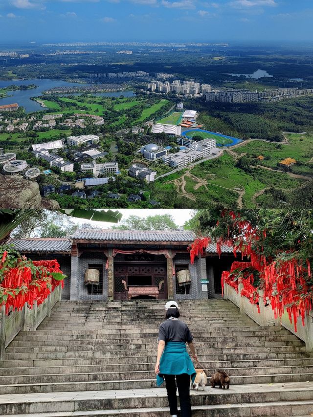 琼海。