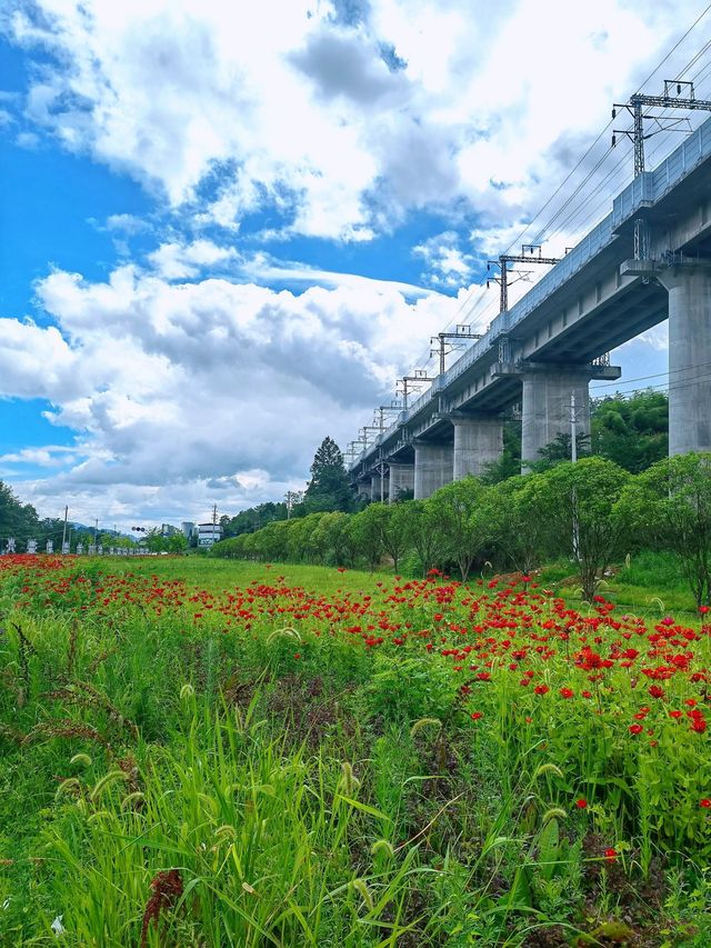 湖北恩施坪坝營｜又是一幅艷麗的山水畫。