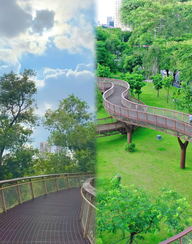繁華都市中的寧靜綠洲｜邂逅都市中的生態。