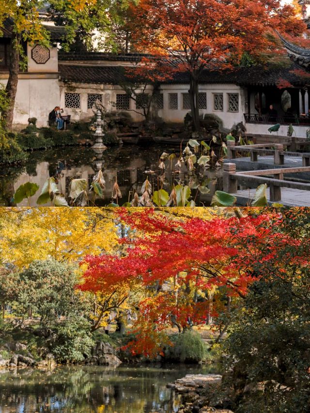 江蘇蘇州園林，秘密美景等您來發現？。