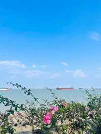 上海濱江森林公園花海谷｜拍照絕美地。