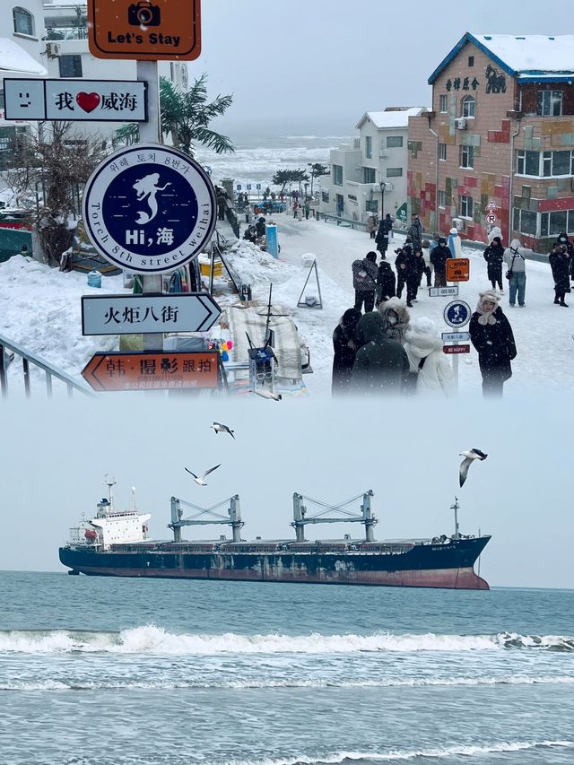 開始期待下雪的威海了！很冷又很浪漫。
