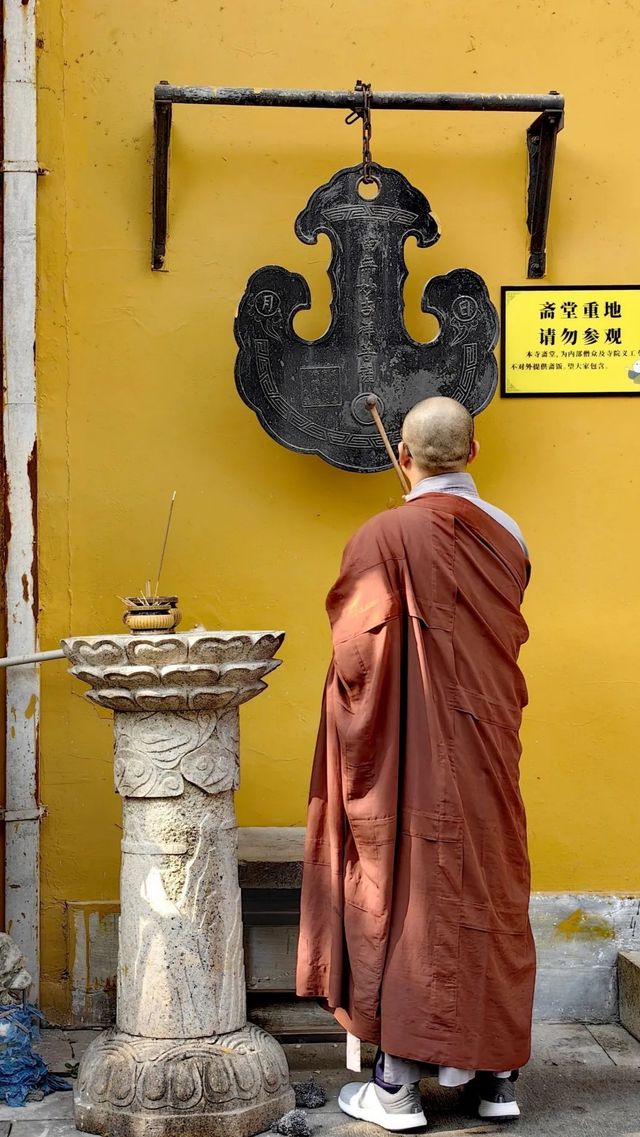 蘇州定慧寺千年銀杏和蘇東坡遺跡！。