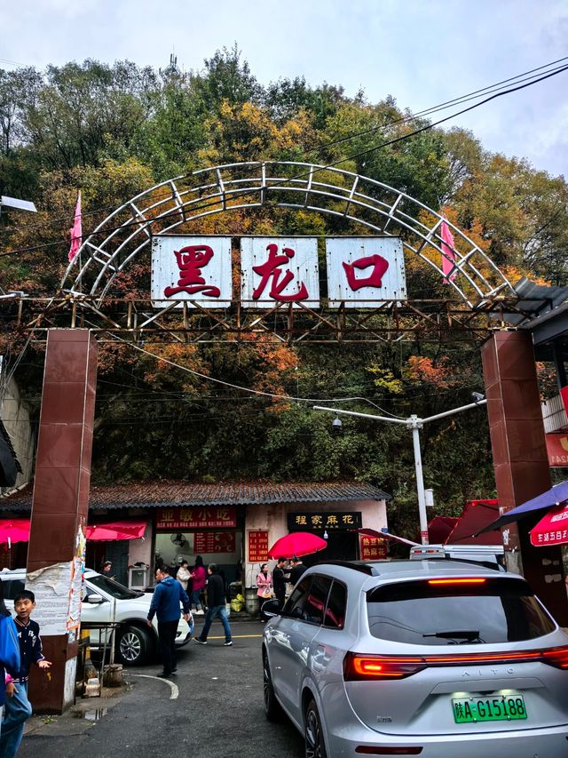 【秦嶺秋色】S101公路上的紅葉盛宴與黑龍口美食之旅。