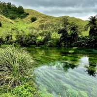 Blue Spring Putaruru such an amazing look