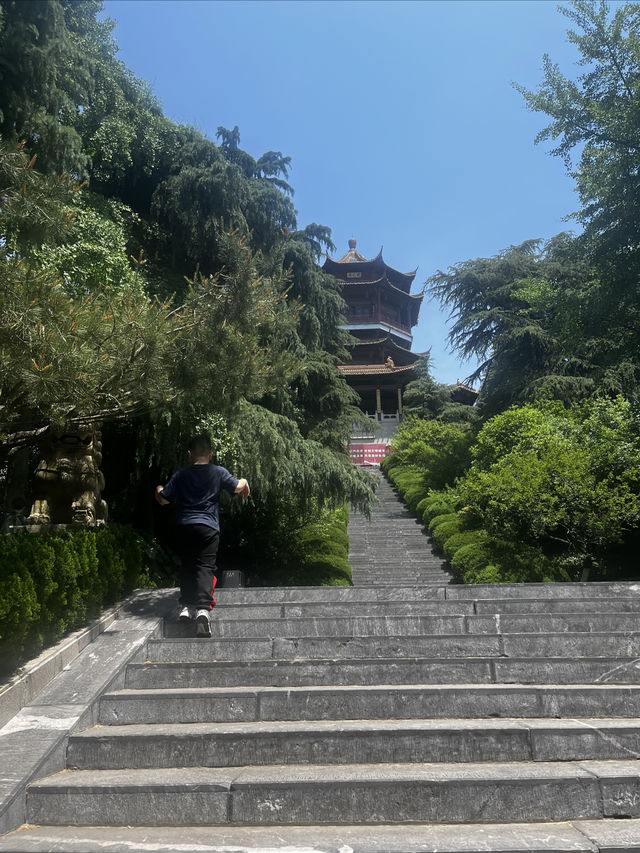 南京親子爬山 雨花台。