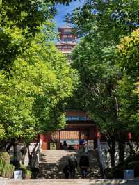 環魯自駕遊丨微山湖望湖塔。