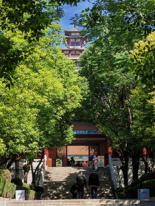 環魯自駕遊丨微山湖望湖塔。