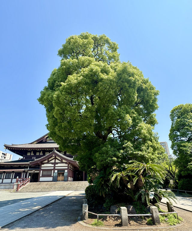 探訪心靈的平靜之地——日本川崎大師平間寺。