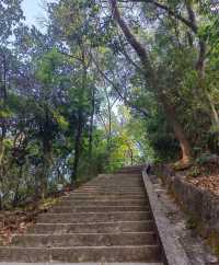 東莞旗峰公園秋日漫步一定要來這地方。